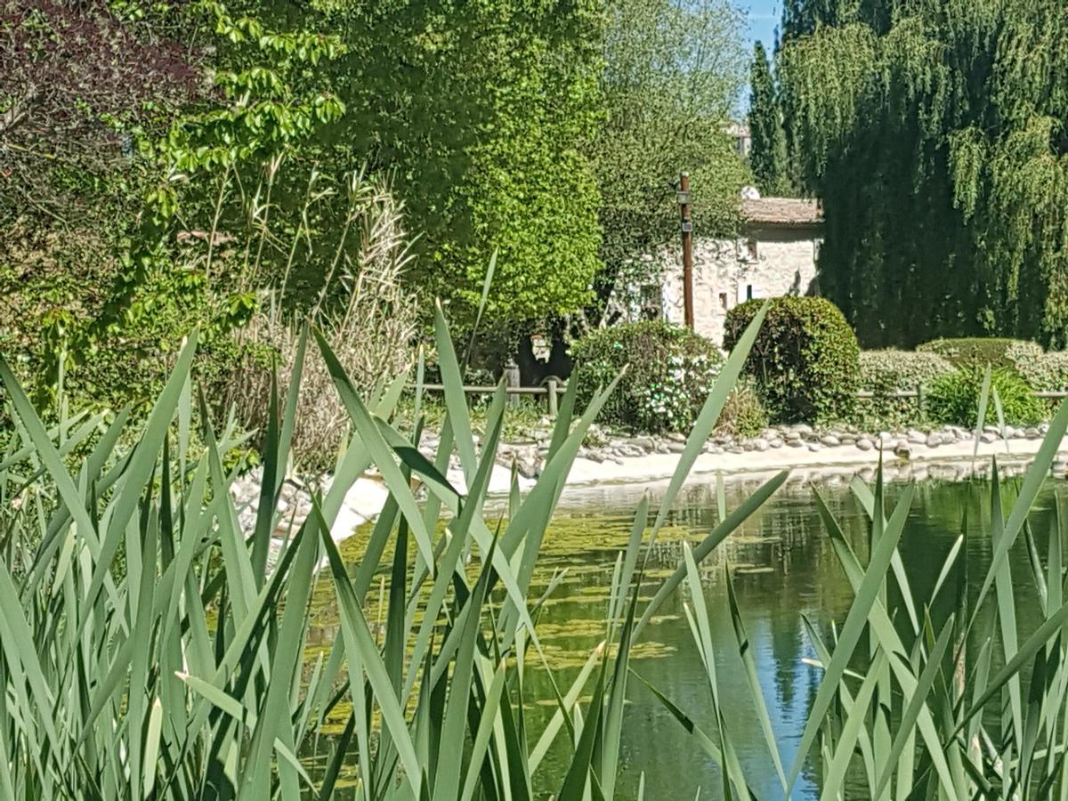 La Campagne St Lazare - Restaurant Chambres D'Hotes Piscine & Spa Forcalquier Zewnętrze zdjęcie