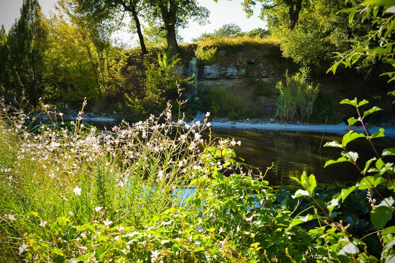 La Campagne St Lazare - Restaurant Chambres D'Hotes Piscine & Spa Forcalquier Zewnętrze zdjęcie